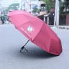 BMW UMBRELLA